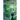 Shadows of the Future