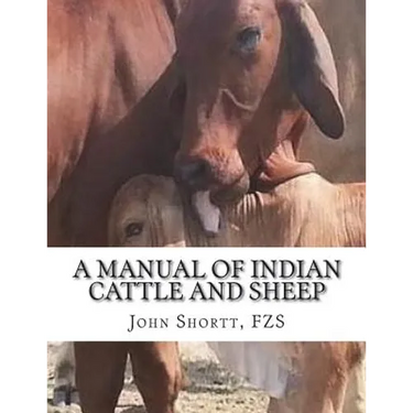 A Manual of Indian Cattle and Sheep: Their Breeds, Management and Diseases
