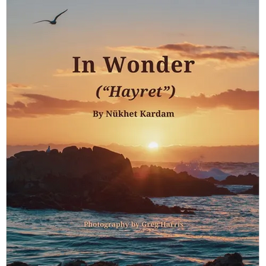 In Wonder ("Hayret")
