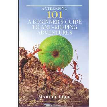 Antkeeping 101: A Beginner's Guide to Ant-Keeping Adventures