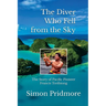 The Diver Who Fell from the Sky (Color)