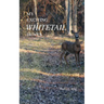 My Exciting Whitetail Hunts
