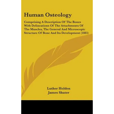 Human Osteology: Comprising A Description Of The Bones With Delineations Of The Attachments Of The Muscles, The General And Microscopic
