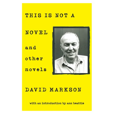 This Is Not a Novel and Other Novels
