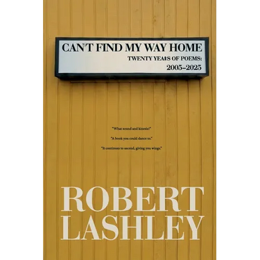 Can't Find My Way Home: Twenty Years of Poems: 2005 - 2025