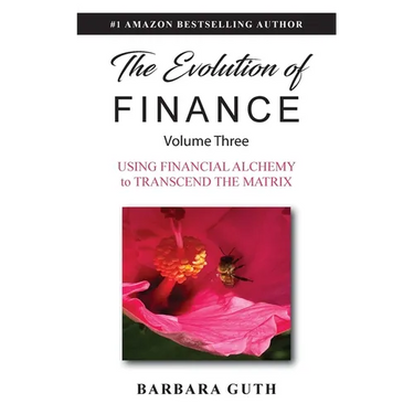 The Evolution of Finance: Using Financial Alchemy to Transcend the Matrix