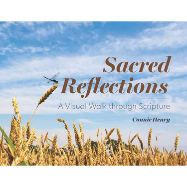 Sacred Reflections: A Visual Walk through Scripture