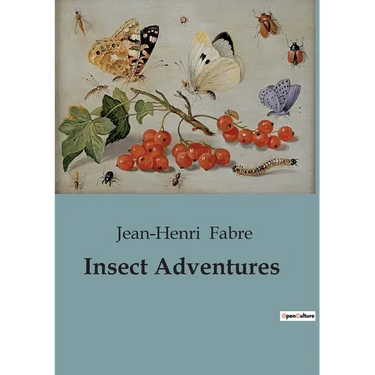 Insect Adventures