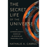 The Secret Life of the Universe: An Astrobiologist's Search for the Origins and Frontiers of Life