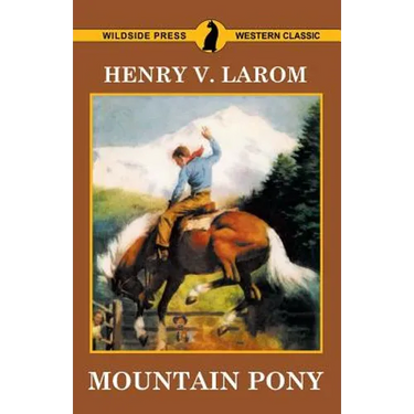 Mountain Pony