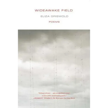 Wideawake Field