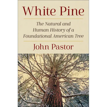 White Pine: The Natural and Human History of a Foundational American Tree