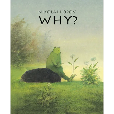 Why?: A Timeless Story Told Without Words