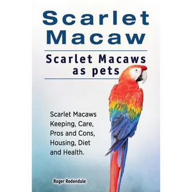 Scarlet Macaw. Scarlet Macaws as pets. Scarlet Macaws Keeping, Care, Pros and Cons, Housing, Diet and Health.