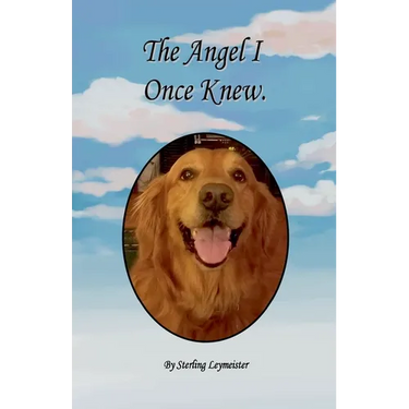 The Angel I Once Knew