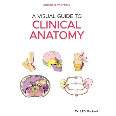 A Visual Guide to Clinical Anatomy