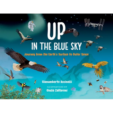 Up in the Blue Sky: Journey from the Earth's Surface to Outer Space