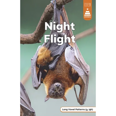 Night Flight