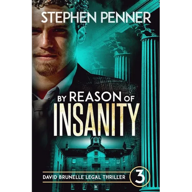 By Reason of Insanity: David Brunelle Legal Thriller #3