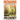 Remains: A Fictional Account of a True Crime