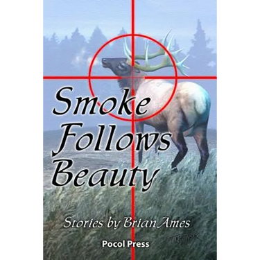 Smoke Follows Beauty