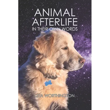 Animal Afterlife: In Their Own Words