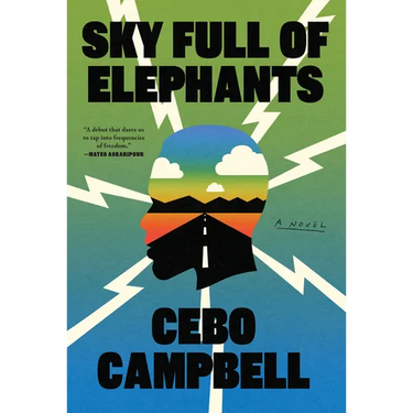 Sky Full of Elephants