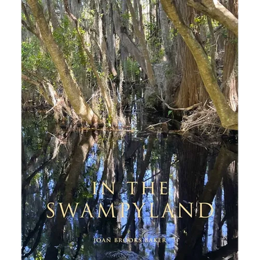 In the Swampyland