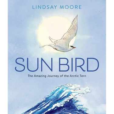 Sun Bird: The Amazing Journey of the Arctic Tern