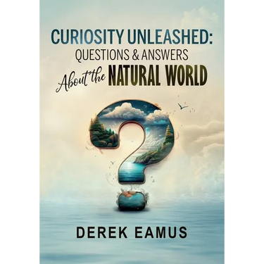 Curiosity Unleashed: Questions and Answers about the Natural World