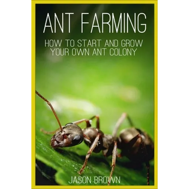 Ant Farming: How to Start and Grow Your Own Ant Colony