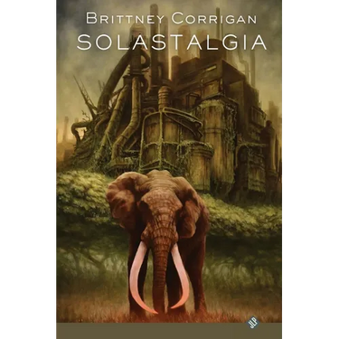 Solastalgia