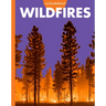 Curious about Wildfires