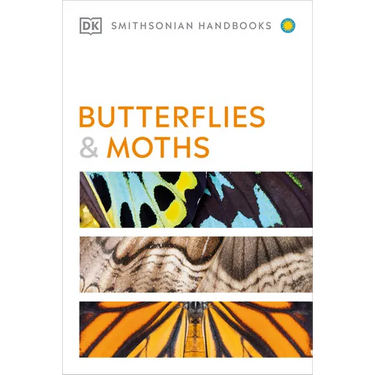 Butterflies and Moths
