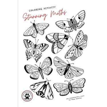 Stunning Moths: Colorize the moths