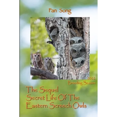 The Sequel Secret Life Of The Eastern Screech Owls: Breeding Season 2022