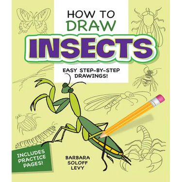 How to Draw Insects: Step-By-Step Drawings!