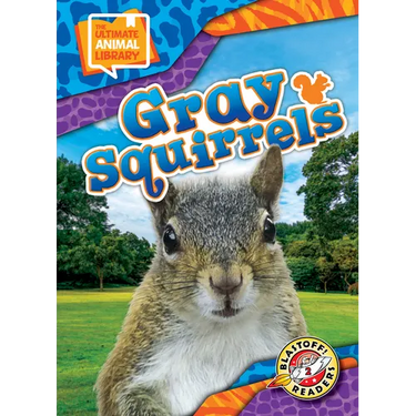 Gray Squirrels