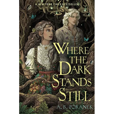 Where the Dark Stands Still