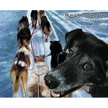 Run Like a Sled Dog: Another Black Bear Sled Dog Adventure