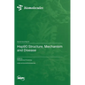 Hsp90 Structure, Mechanism and Disease