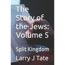 The Story of the Jews: Volume 5: Split Kingdom