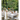 Entertaining by Design: A Guide to Creating Meaningful Gatherings