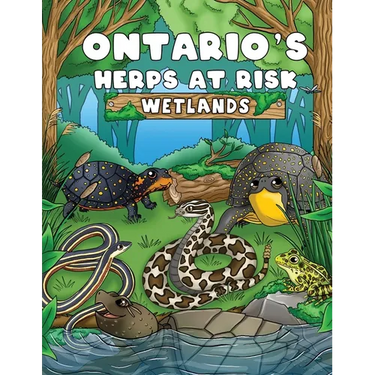 Ontario's Herps At Risk Wetlands
