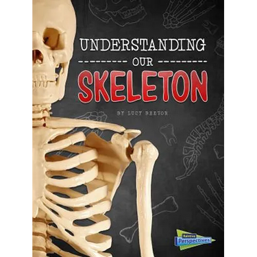 Understanding Our Skeleton