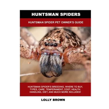 Huntsman Spiders: Huntsman Spider Pet Owner's Guide