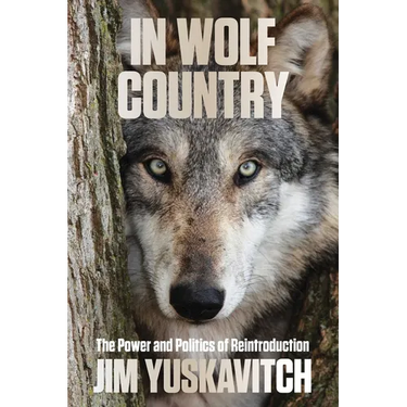 In Wolf Country: The Power and Politics of Reintroduction
