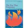 The Fire That Consumes: A Biblical and Historical Study of the Doctrine of the Final Punishment
