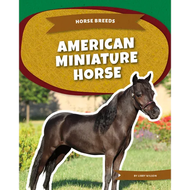 American Miniature Horse