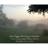 One Foggy Morning in Summer: In the Creasey Mahan Nature Preserve